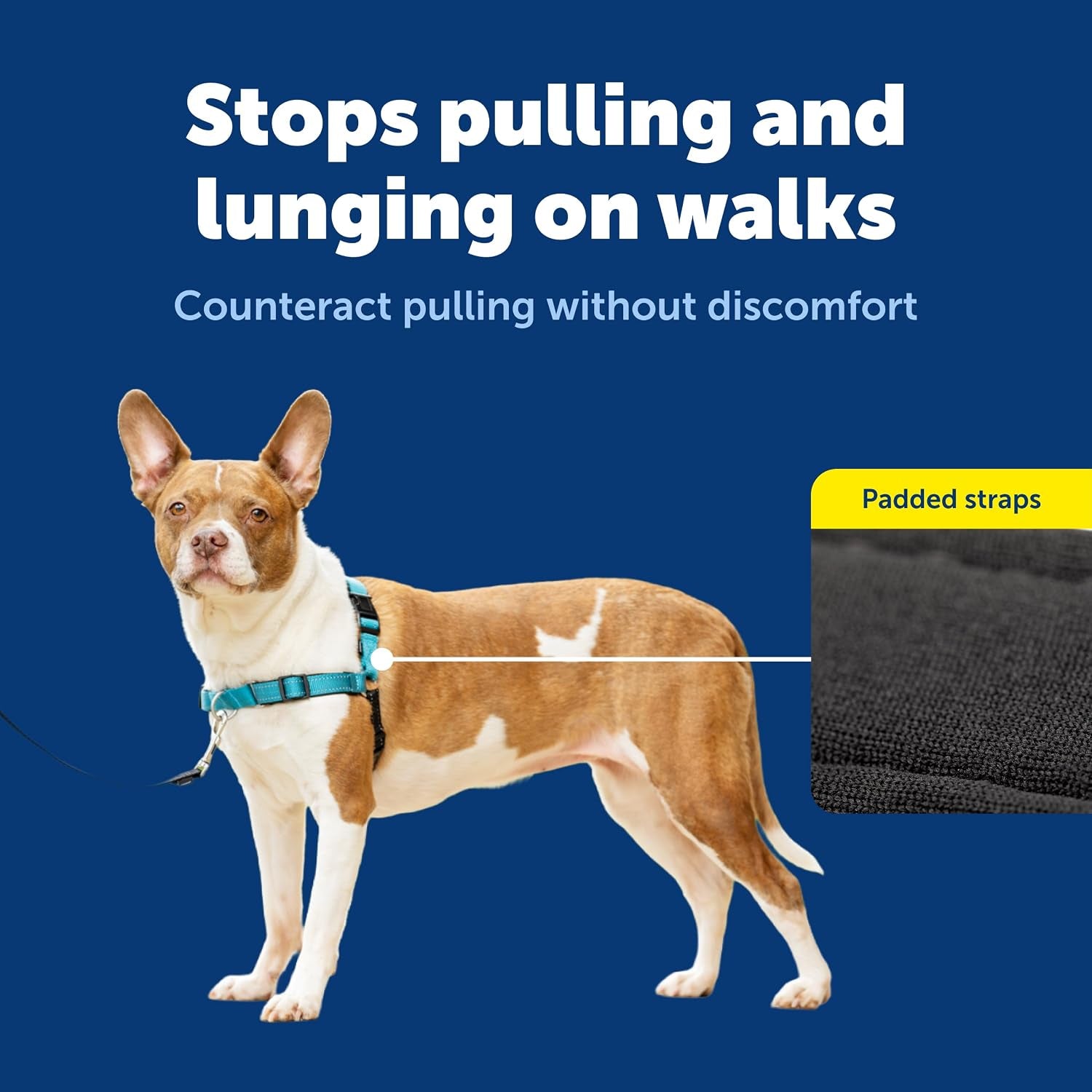 petsafe-easy-walk-deluxe-dog-harness-no-pull-dog-harness-perfect-for-leash-harness-training-stops-pets-from-pulling-and-choking-on-walks-medium-ocean