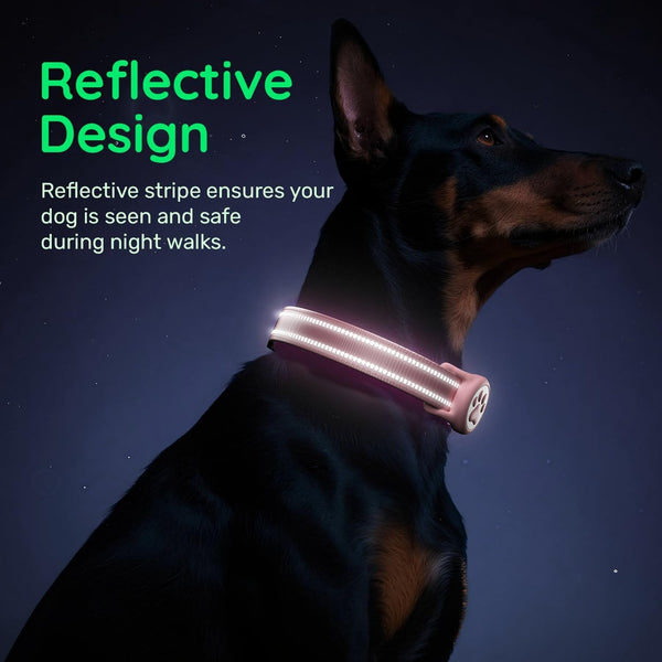 Airtag Dog Collar, Reflective Ultra-Durable Nylon Padded with QR Code Buckle & IP68 Waterproof Air Tag Holder Compatible for Apple Airtag, Comfortable for Small Medium Large Dogs(Pink,S)5