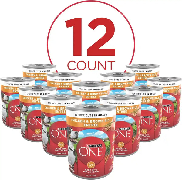 Purina ONE Natural High Protein Dog Food, Tender Cuts in Gravy Chicken and Brown Rice Entrée - 13 Ounce (Pack of 12)5