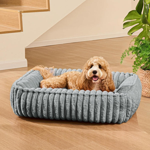 Small Dog Bed Calming Cat Bed for Indoor Cats 20’’X16’’Sage Grey | Rectangle Orthopedic Pet Sofa Bed, Washable Anti-Anxiety Soft Puppy Couch, Nonskid Bottom Furry Cuddler up to 9 Lbs2