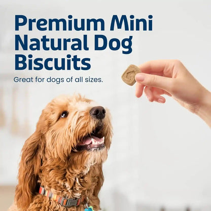 Blue Buffalo Mini Health Bars Apples & Yogurt Crunchy Dog Biscuits, Bite-Sized for Training, Oven-Baked with Real Apples & Natural Ingredients, Healthy Dog Treats, 16 Oz.2