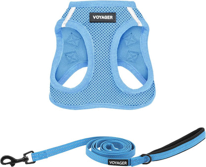 Best Pet Supplies Voyager Step-In Air All Weather Mesh Harness and Reflective Dog 5Ft Leash Combo with Neoprene Handle, for Small, Medium and Large Breed Puppies - Baby Blue, Small1