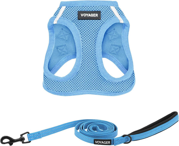 Best Pet Supplies Voyager Step-In Air All Weather Mesh Harness and Reflective Dog 5Ft Leash Combo with Neoprene Handle, for Small, Medium and Large Breed Puppies - Baby Blue, Small1