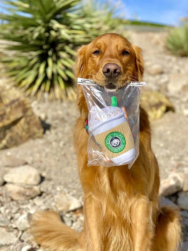 Nestpark Parody Star Pups Coffee Dog Toy Pup'Kin Spice Latte - Funny Plush Squeaky Crinkle Dog Toys for Medium, Small and Large for Dog Birthday7