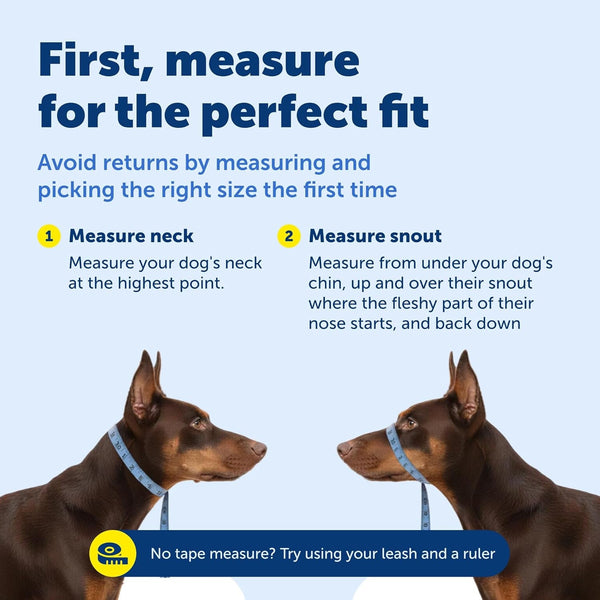 Petsafe Gentle Leader No Pull Dog Headcollar, Royal Blue, Medium | Veterinary Behaviorist-Designed No-Pull Headcollar Redirects Pulling Instinct, Padded Neoprene Nose Loop, Quick-Snap Fit6