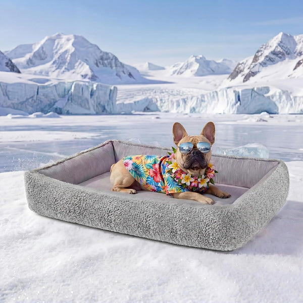 Donut Pet Bed for Indoor Cats and Small Dogs, Self-Heating Dog Bed with Non-Slip Bottom, Winter Comfort Dog Beds for Puppies, Washable & Portable Egg Tart Shape (S) Small Cat Bed Self Warming19