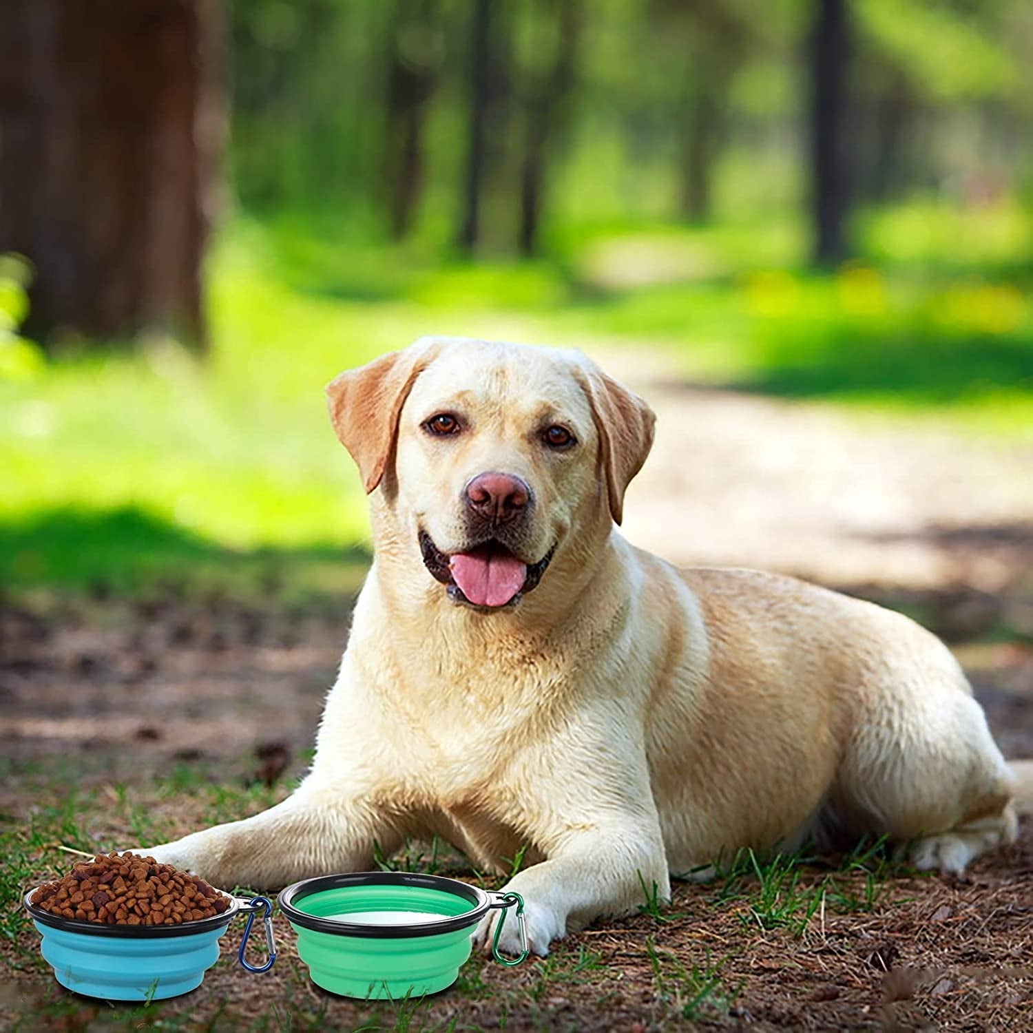 slson-collapsible-bowl-with-cover-lids-2-pack-dog-travel-bowls-portable-foldable-cat-water-dish-bowl-for-pets-walking-parking-camping-light-blue-and-green-small