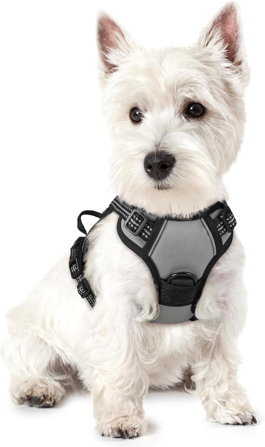 rabbitgoo-dog-harness-no-pull-for-large-dogs-with-2-leash-clips-pet-vest-no-choke-with-handle-adjustable-soft-padded-reflective-easy-control-for-walking-black-large
