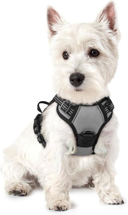 Rabbitgoo Dog Harness, No Pull for Large Dogs with 2 Leash Clips, Pet Vest | No Choke with Handle, Adjustable Soft Padded, Reflective, Easy Control for Walking, Black, Large42