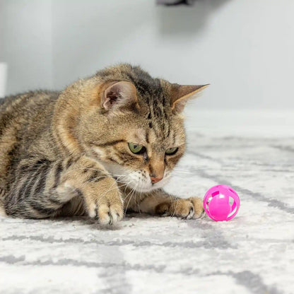 SPOT Slotted Balls Cat Toy - Interactive Cat Toys for Indoor Cats to Chase, Hunt and Stimulate - Jingle Bell inside for Sound When Batted around - Safe and Non-Toxic - 1.5" Assorted 4-Pack2