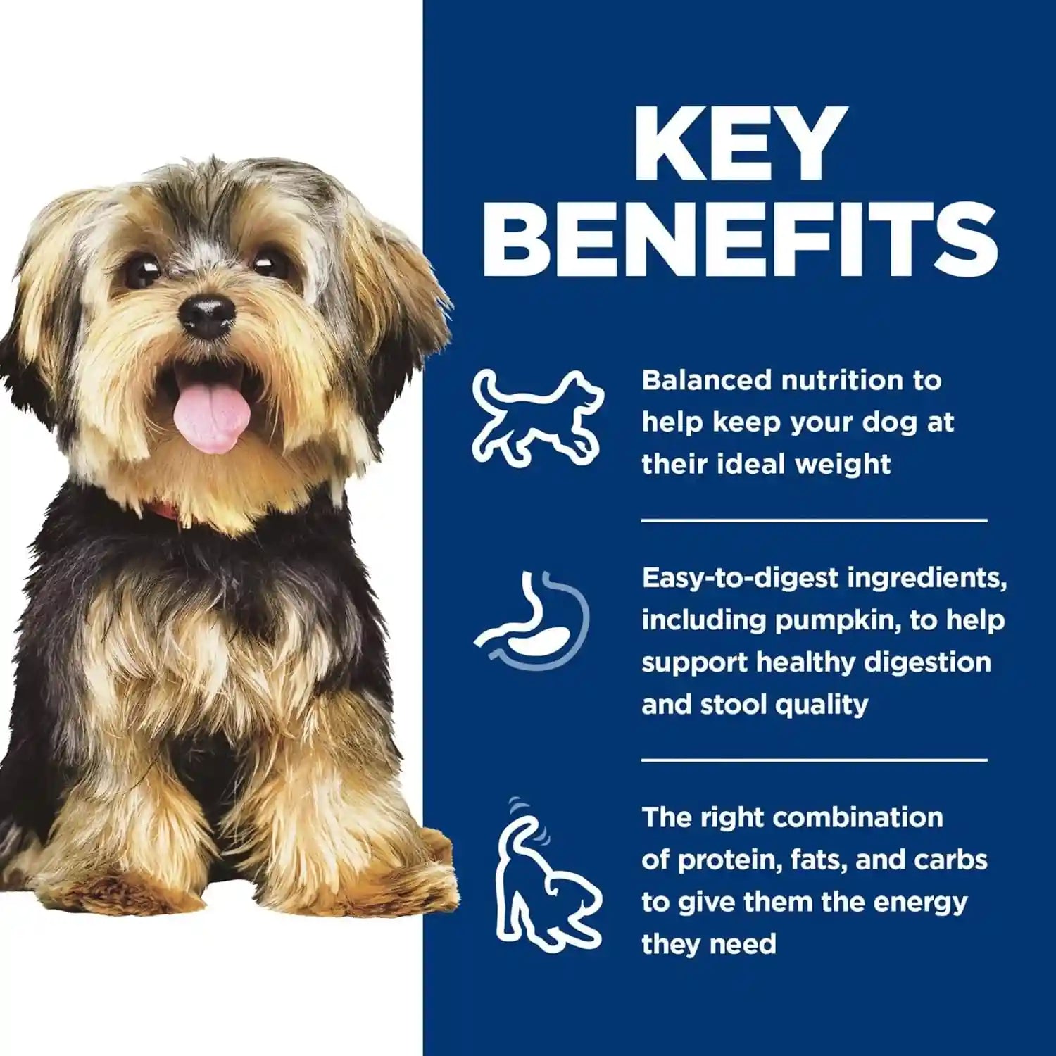 hills-science-diet-adult-1-6-small-mini-wet-dog-food-variety-pack-1-veterinarian-recommended-chicken-vegetables-beef-vegetables-3-5-oz-trays-12-pack