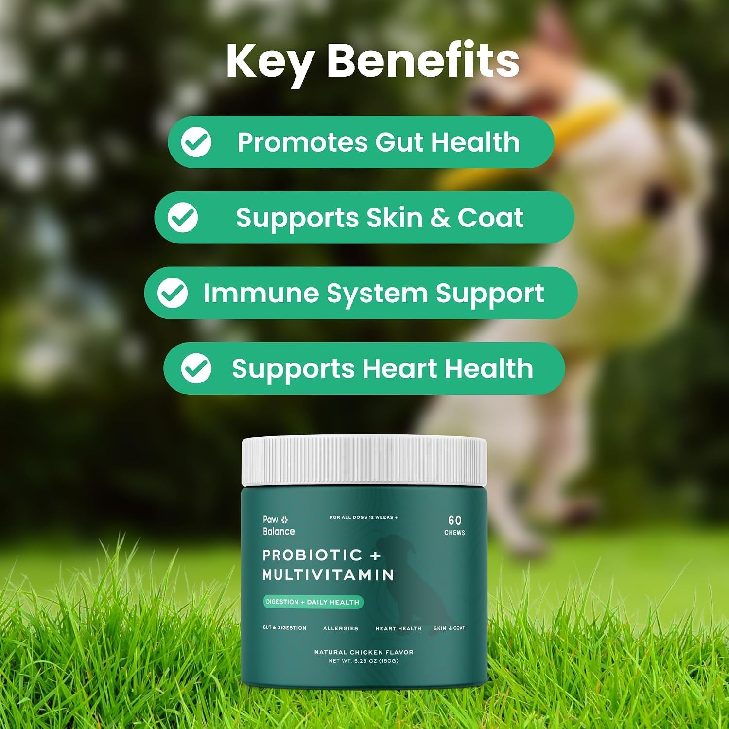 dog-probiotics-and-multivitamin-chews-for-digestive-health-immune-support-gut-health-allergy-support-dog-vitamins-with-vitamin-c-omega-3-colostrum-60-soft-chews-per-jar