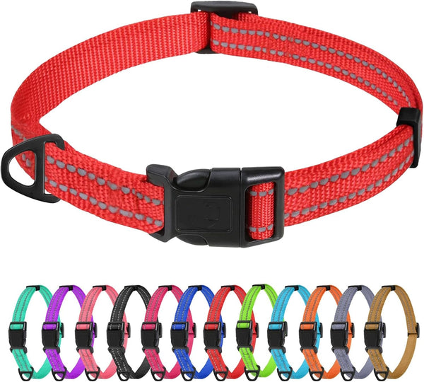 Tagme Small Dog Collar, Reflective Puppy Collar, Sky Blue, 3/8" Width | Lightweight, Nylon Collar for Puppies, Chihuahua, Yorkie & Teacup Dogs 5-15 Lbs, Reflective for Evening Walks, 12 Colors51