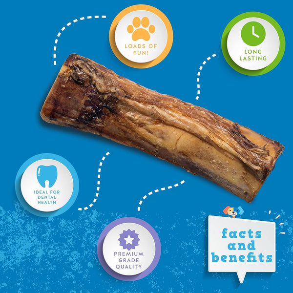 Jack&Pup Marrow Bones for Dogs, Long Lasting Dog Bones for Large Dogs, 6" Marrow Bone, Natural Beef Bone (1 Pack)4