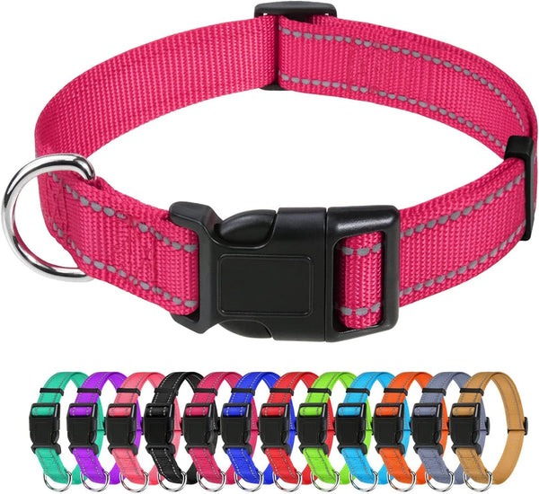 Tagme Small Dog Collar, Reflective Puppy Collar, Sky Blue, 3/8" Width | Lightweight, Nylon Collar for Puppies, Chihuahua, Yorkie & Teacup Dogs 5-15 Lbs, Reflective for Evening Walks, 12 Colors41
