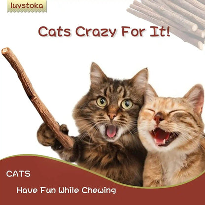 Silvervine Sticks for Cats, 30PCS Kitten Toys Catnip Toys Matatabi Silvervine Sticks Kitty Chew Toys Wooden Stick Kitten Teething Toys Molar Suitable for Cats of All Ages3