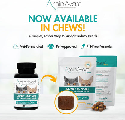 Aminavast 300Mg Kidney Support for Cats & Small Dogs, 60 Sprinkle Capsules | Feed Directly or Open Capsules & Mix with Food, Amino Acid and Peptide Blend for Cats and Small Dogs up to 20Lb4