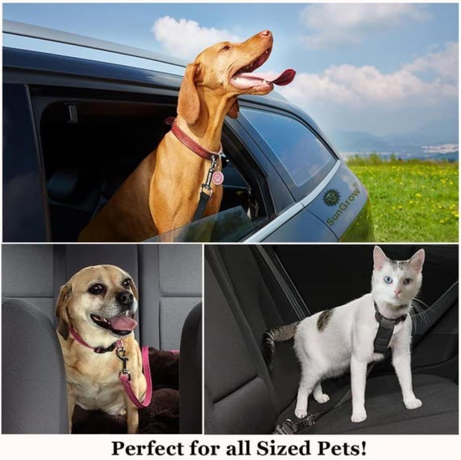 sungrow-dog-seat-belt-for-car-adjustable-nylon-pet-seatbelt-supports-all-cars-dog-car-leash-seat-belt-seatbelt-for-dogs-cats-ferrets-travel-harness