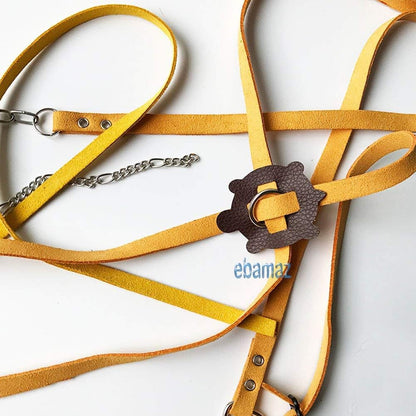 Leather Harness Strap for Tortoise/Turtle Reptile Animals Size M | Crawling Pet Walking Training Control Rope Chest Collar7