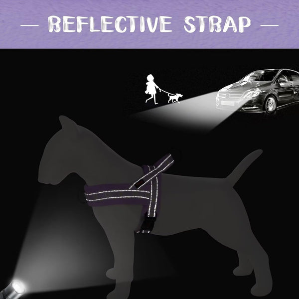 Didog No Pull Dog Harness for Small Medium Dogs, Floral Print, Purple, S | Soft Flannel Padded, Quick Fit, Easy on and Off, Night Safty, Adjustable & Reflective for Walking and Training, Chest 19-22"6