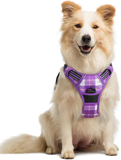 Rabbitgoo Dog Harness, No Pull for Large Dogs with 2 Leash Clips, Pet Vest | No Choke with Handle, Adjustable Soft Padded, Reflective, Easy Control for Walking, Black, Large155