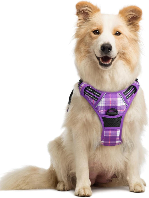 Rabbitgoo Dog Harness, No Pull for Large Dogs with 2 Leash Clips, Pet Vest | No Choke with Handle, Adjustable Soft Padded, Reflective, Easy Control for Walking, Black, Large155