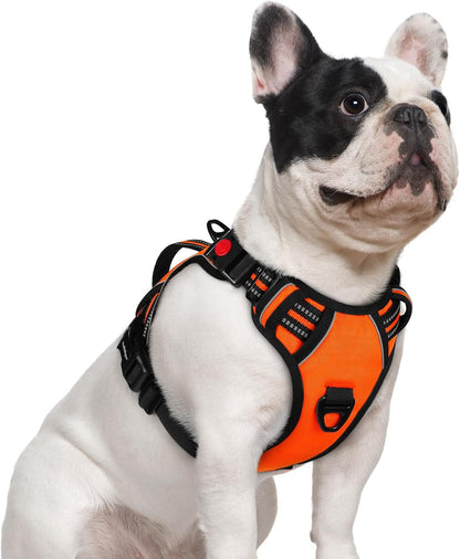 Rabbitgoo Large Dog Harness, Easy Wear with 3 Buckles and Lift Handle | No Pull with Front Clip for Walking, Adjustable Soft Padded, Reflective, Easy Control, Pink, Large15