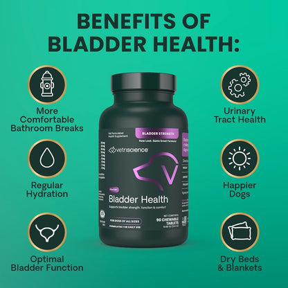 Vetriscience Bladder Health Chewable Tablets, Bladder Strength Urinary Tract Supplement for Dogs, Reduce Urine Leakage and Overactive Bladder, with Soy Protein and Saw Palmetto, Smoke, 90 Count7