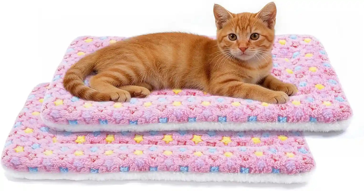 mora-pets-dog-crate-pad-ultra-soft-pet-bed-with-cute-star-print-washable-mat-for-large-medium-small-dogs-reversible-fleece-kennel-liner-cat-bed-23-x-18-inch-brown