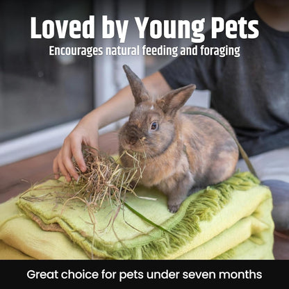 High Desert Alfalfa Hay, Protein Rich Soft Leaf Food for Young Growing Animals, Natural Rabbit Food and Guinea Pig Hay, Supports Digestive Health, Small Pet Supplies, Fresh Hand Packed 5 Lb Box | Protein Rich Soft Leaf Forage, Ideal for Growing Kits and Nursing Mothers, Great Calcium Source, Hand Packed, Low Dust4