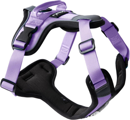 Shawnco Basecamp Dog Harness, No-Pull Pet Vest with 3 Leash Clips, Padded, Reflective, Lightweight and Adjustable Harness with Handle for Small, Medium and Large Dogs (ICY Lilac, M)1