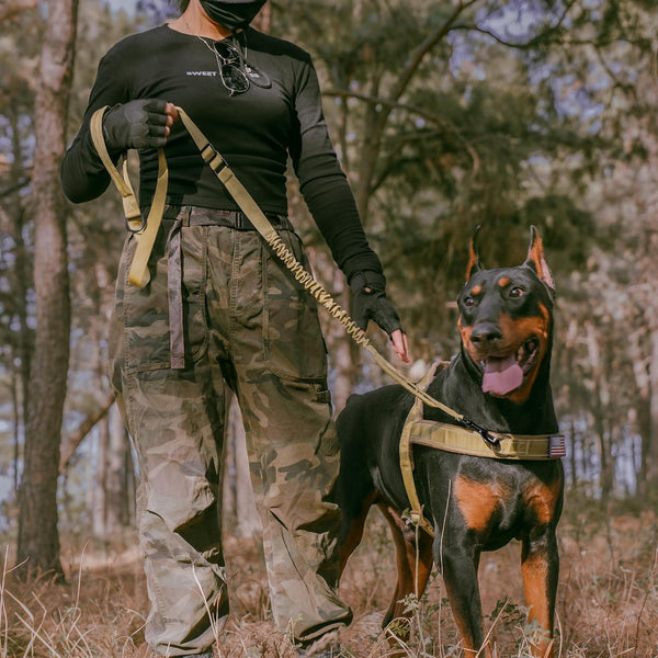 Forestpaw Tactical Dog Leash for Large Dogs, Khaki, 4-5FT | Heavy Duty Bungee, Shock Absorption, 2 Padded Handles, for Training Running Walking3
