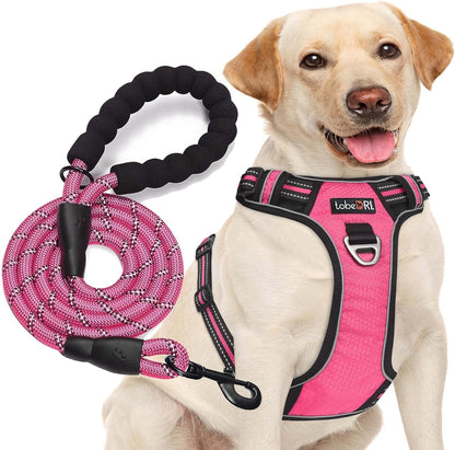Tobedri No Pull Dog Harness Adjustable Reflective Oxford Easy Control Medium Large Dog Harness with a Free Heavy Duty 5Ft Dog Leash, Blue, M14