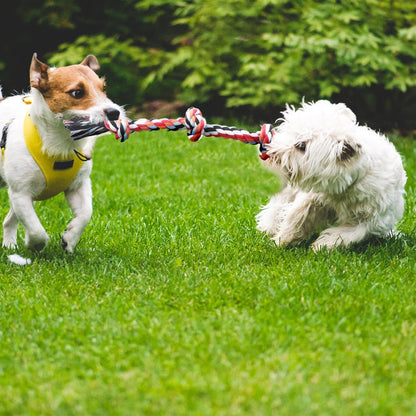 Twoear Dog Rope Toy 4 Pack - Puppy Teething Toys for Small Breed | Indestructible Dog Chew Toys for Aggressive Chewers - Cotton Tug of War Dog Toys for Boredom, Teeth Clean6