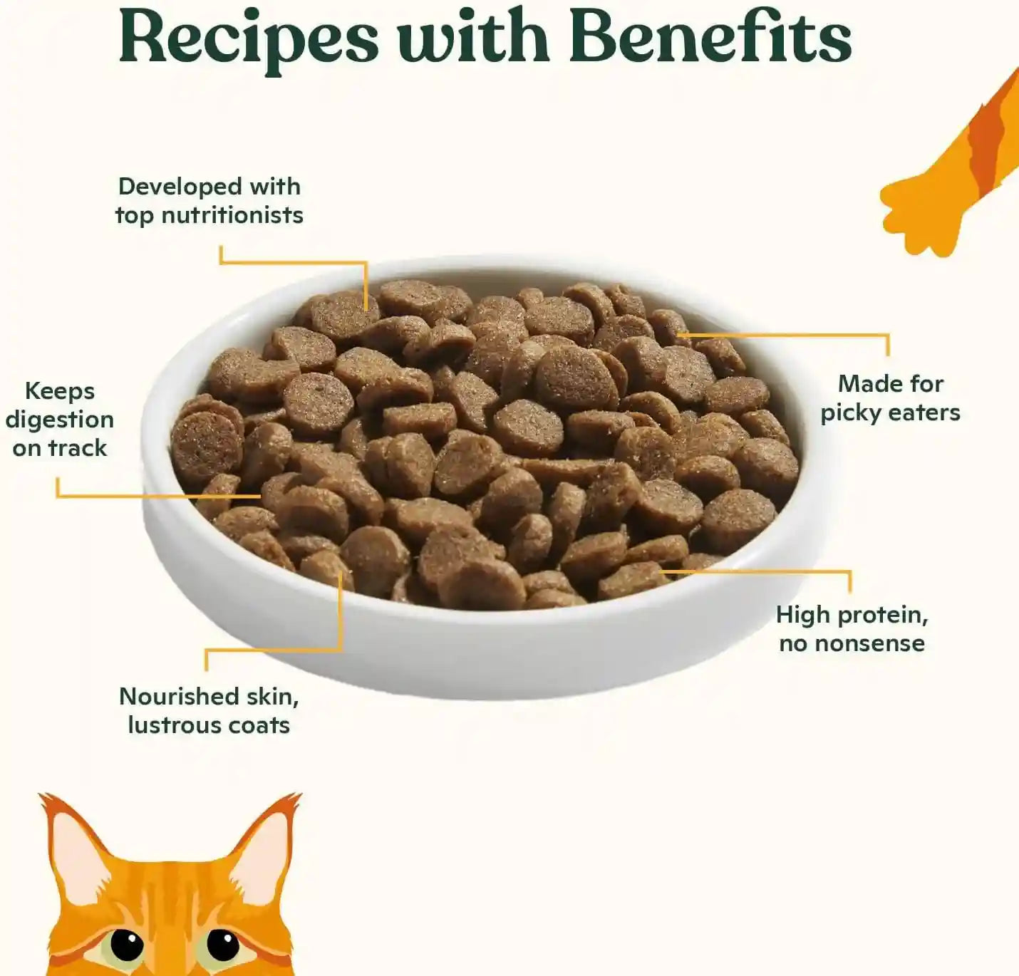 made-by-nacho-dry-cat-kibble-4lb-bag-high-protein-and-grain-friendly-premium-cat-food-cage-free-chicken-pumpkin-recipe-infused-with-bone-broth-for-hydration-limited-ingredients-single-bag