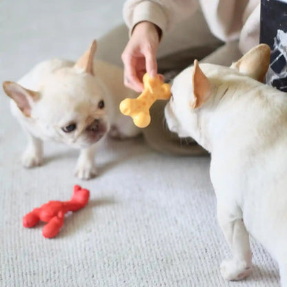 Nylabone Power Chew Lobster Dog Chew Toy, Filet Mignon Flavor, Small | Durable Dog Toys for Aggressive Chewers, Long Lasting, Discourages Destructive Chewing, for Dogs up to 25 Lbs10