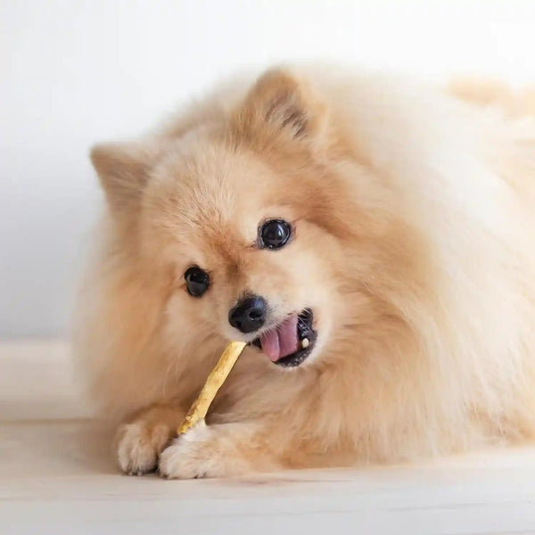 Fieldcrest Farms Nothin' to Hide Twist Stix, Beef Flavor, Easily Digestible, Supports Skin, Coat, Joints & Muscles, for Moderate Chewers under 15Lbs, 50 Pieces10
