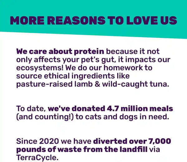I and LOVE and YOU Feed Meow Tummy Wet Cat Food - Tuna + Pumpkin - Digestion Support, Grain Free, Shredded, 3Oz Pack of 126