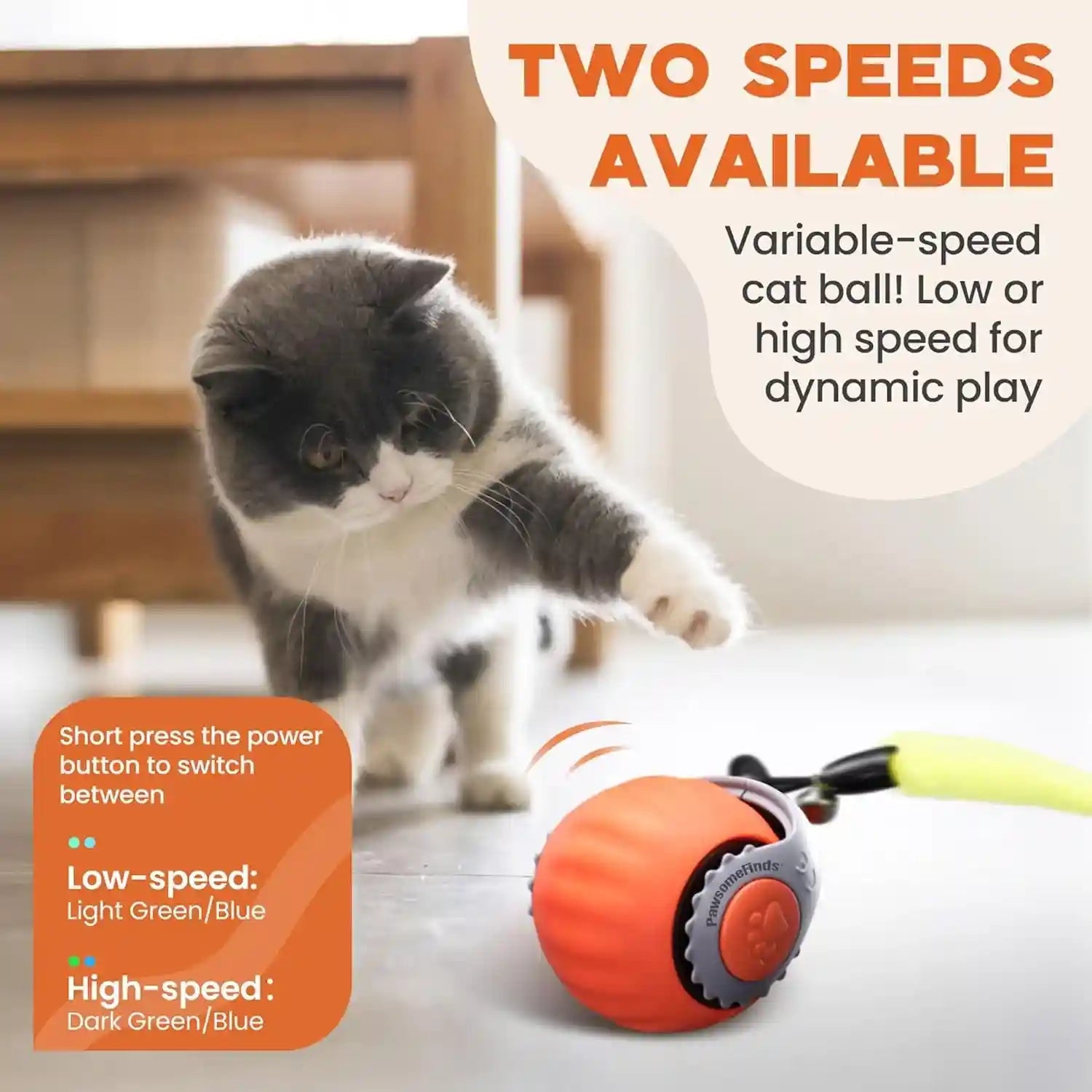 interactive-cat-toy-for-indoor-cats-two-speed-smart-automatic-cat-toy-moving-ball-with-tail-rechargeable-motion-activated-cat-toys-for-bored-indoor-adult-cats-adapter-not-included