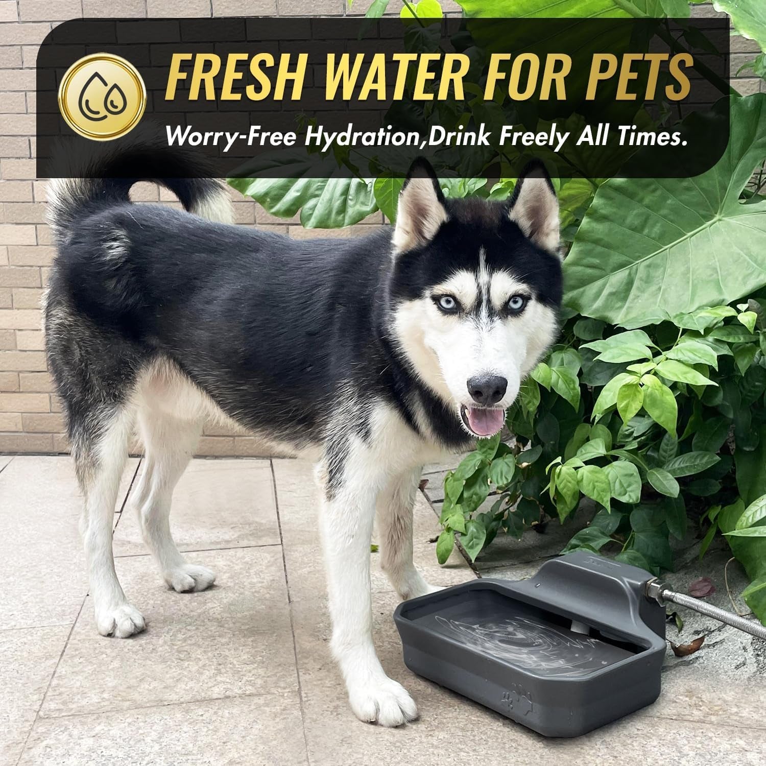 ficuswin-135oz-automatic-water-dispenser-for-large-dogs-patented-outdoor-dog-water-bowl-dispenser-automatic-dog-feeder-fit-3-4-ght-faucet-dog-waterer-include-water-hose-extra-large-drinking-area