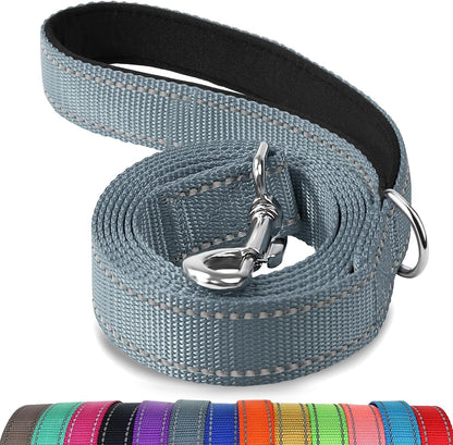 Joytale Reflective Dog Leash for Medium & Large Dogs, 6 FT X 1", Black | Heavy Duty Nylon Webbing, Padded Handle for Comfort, Visible at Night, for Walking & Training11