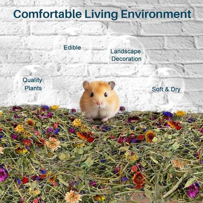 Sukh Hamster Bedding Odor Control - 150G Flowers & Herbs for Small Animals | Natural Habitat Decor and Forage Material for Dwarf Hamster, Chinchilla, Guinea Pig, Rabiit, Gerbil, Mice, Lemming2