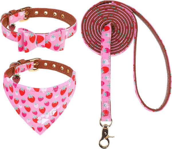 EXPAWLORER Puppy Collar and Leash Set - Embroidery Pawprints Plaid Dog Collar and Dog Leash Set, Bow Tie and Bandana Dog Collar with Bell, Cute Collar and Leash for Dogs Cats Outdoor Walking, Blue S23