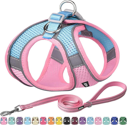 AIITLE No Pull Dog Harness and Leash Set, Step in Adjustable Dog Harness with Padded Vest for All Weather, Dog Leash with Soft Padded Handle, Easy to Put on Small and Medium Dogs Beige S18