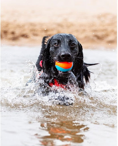 Chuckit! Amphibious Fetch Balls, Set of 3, Medium4