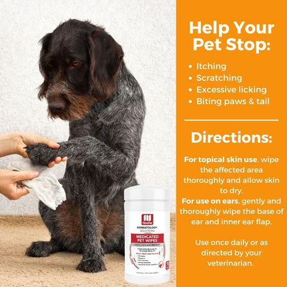 Nootie Medicated Dog Wipes, 2% Chlorhexidine and 2% Miconazole Formulated Pet Wipes for Dogs and Cats - 5"X 6" Size XL Wipes - 70 Count - Sold in over 10,000 Vet Clinics and Pet Stores Worldwide4