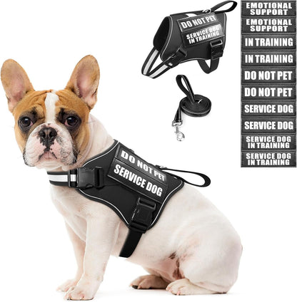 Service Dog Vest Harness and Leash Set+10 Patches,No Pull&Adjustable Reflective Dog Harness with Soft Padded Handle for Training/Everyday,Fit Small/Medium/Large/Extra-Large Dogs(Red XL) | No Pull&Adjustable Reflective Service Dog Harness Large Sized,Dog Leash with 2 Soft Padded Handles,For Training Working18