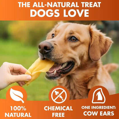 BRUTUS & BARNABY Cow Ears for Dogs – Whole Ears 12 Ct, Thick Cut, Grass-Fed Angus Beef, All-Natural No-Rawhide Dog Treat Alternative3