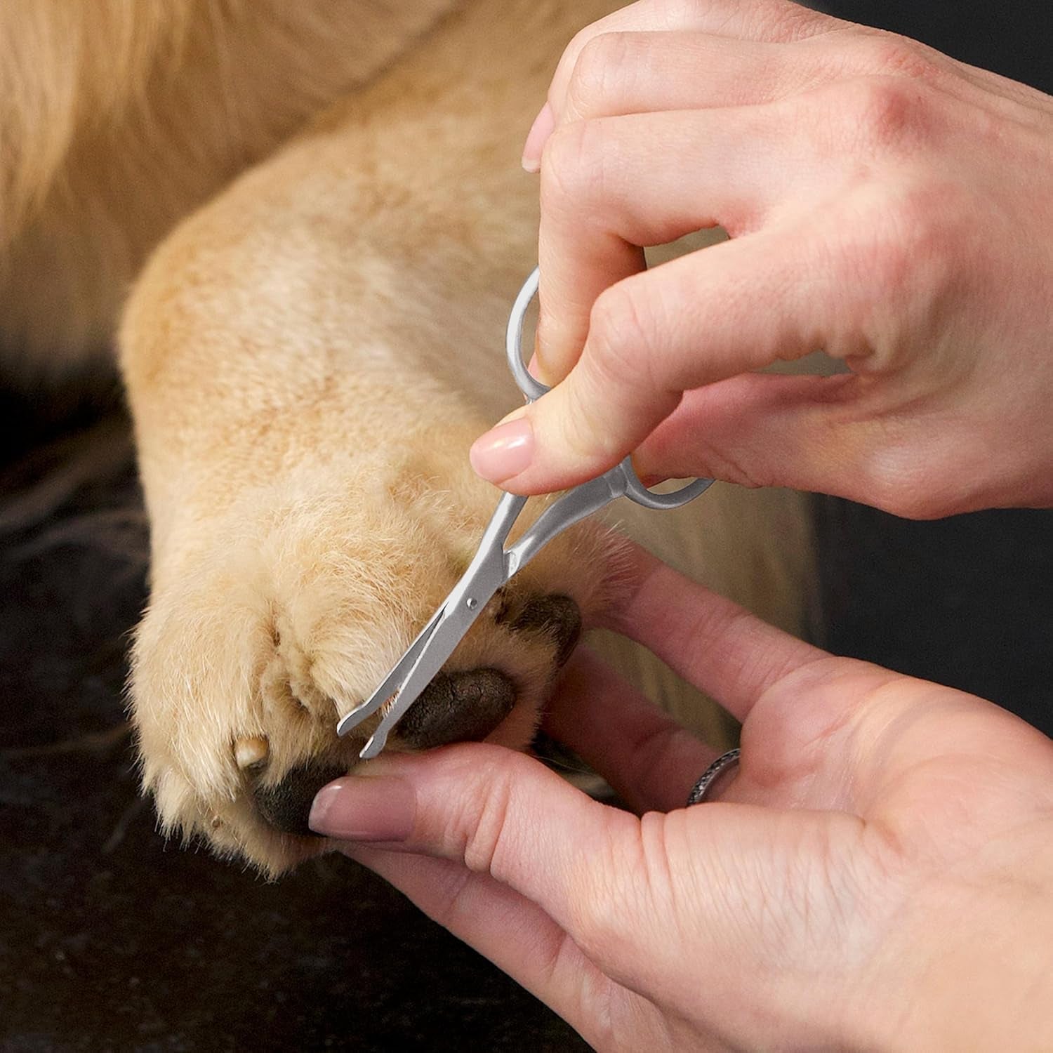 tweezerman-pet-grooming-scissors-rounded-tip-trimming-scissor-for-dogs-cats
