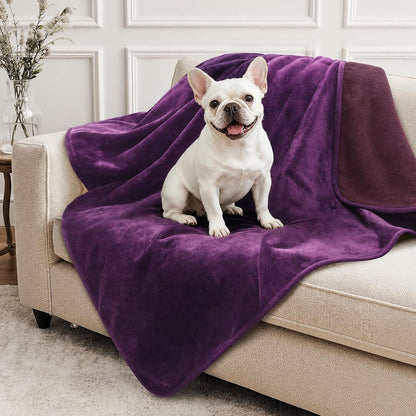 LOOBANI Waterproof Blanket for Bed, Soft Flannel Twin Bed Blanket 60" X 80" | Dog Pet Blankets for Large Dogs, Reversible Spill-Proof Throw for Couch Cover, Movie Time, Camping, Travel, Noise Free, Grey18